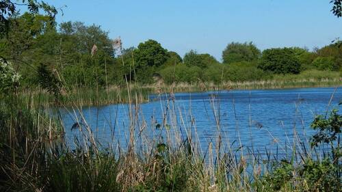Blick auf den See - 8 Zimmer Einfamilienhaus zum Kaufen in Owschlag