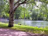 volkspark - 
