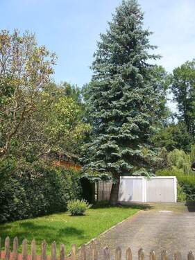 Einfahrt mit Garage.jpg - 