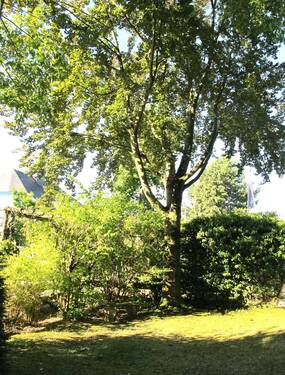 20_Garten - 8 Zimmer Einfamilienhaus in Kriftel