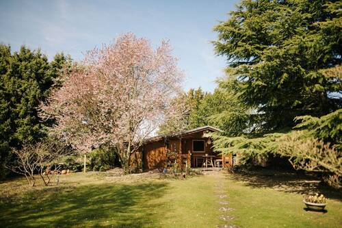 Gartenlandschaft - 