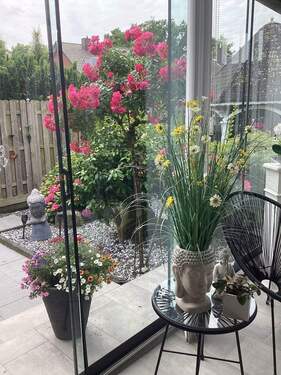 Blick von der Terrasse - 