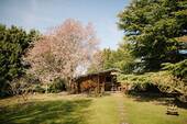 Gartenlandschaft - 