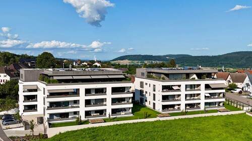 dji_fly_20240717_185002_0458_1721235124915_photo.J - 2 Zimmer Etagenwohnung zur Miete in Laufenburg (Baden)