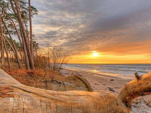 Impressionen der Umgebung - 