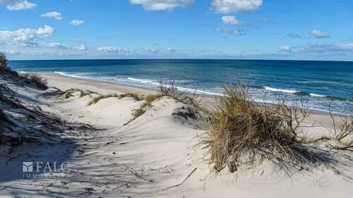 Impressionen der Umgebung - 