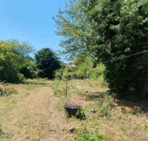 Ruhiges Baugrundstück in Bobenheim-Roxheim in zweiter Reihe - familienfreundlich & zentral