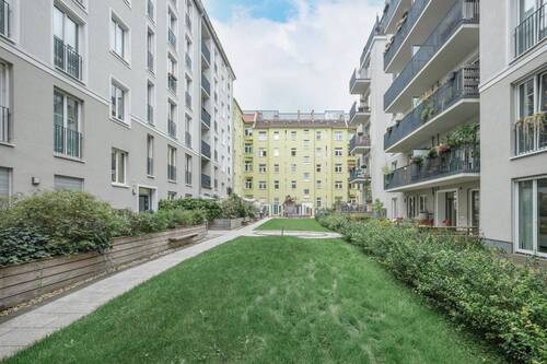 Gemeinschaftsgarten - 