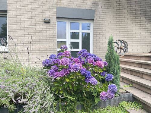 Hausansicht - 202518.2 Idyllisches Wohnen mit Garten im citynahen Grünen in stilvollem Familienhaus