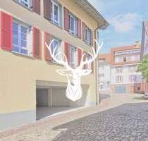 Whg. Nr. 3, Neu renoviert & barrierefrei! Moderne 3 Zimmer Wohnung im Herzen von Tiengen zu vermieten - Waldshut-Tiengen