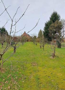 vom Grundstüksende aus - 6 Zimmer Einfamilienhaus zum Kaufen in Buxtehude