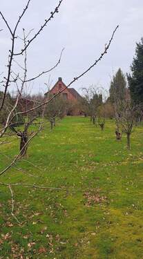 vom Grundstüksende aus - 