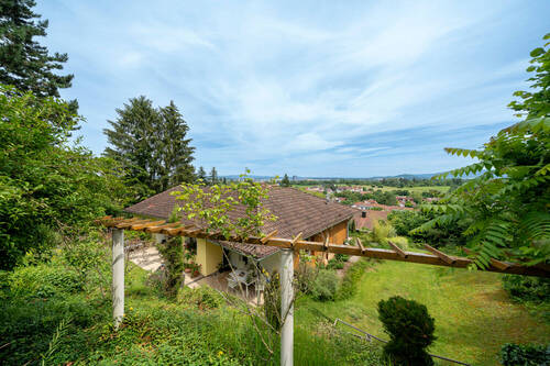Ausblick - 