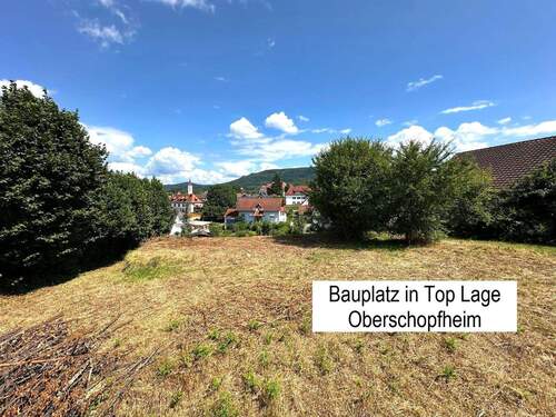 Aussicht I.jpg - Bauplatz mit Panoramablick in Friesenheim-Oberschopfheim