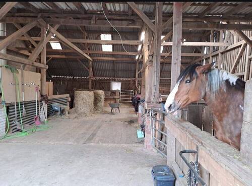 07_Stallbereich.jpg - 