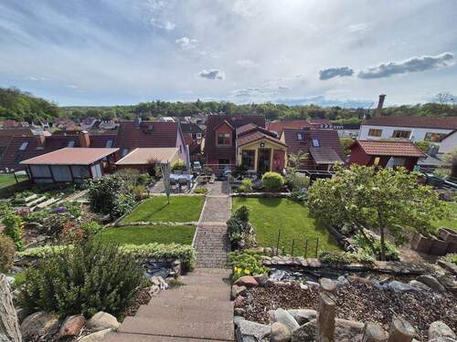 Blick aufs Grundstück - 