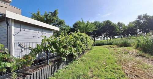 Panorama - Haus Südseite - 