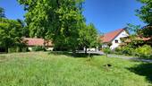 Wiese - 