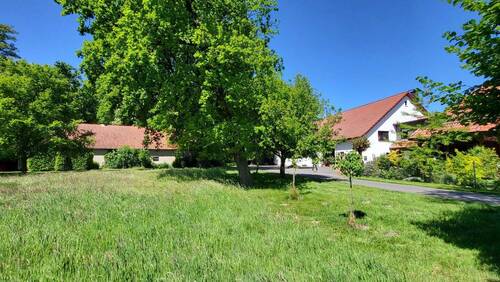 Wiese - 