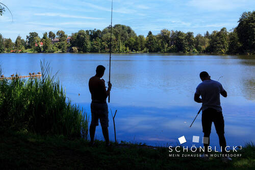 Schönblick3_Angler_Bauernsee - 