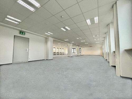 Einzeletage 300+ m² - 