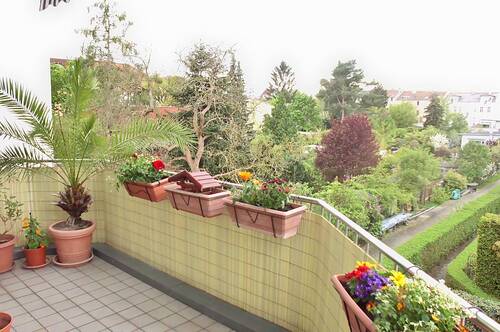  ... Balkon mit Freisicht - 2 Zimmer Etagenwohnung in Berlin-Friedrichshagen