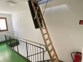 0x400 (14).webp - 