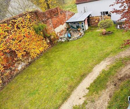 Blick in den Garten - 