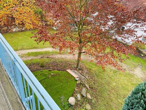 Blick in den Garten - 