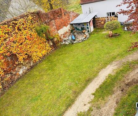 Blick in den Garten - 
