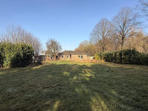 rückwärtiger Blick - 