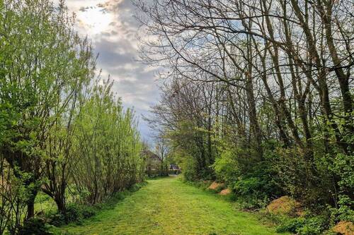 Weg zur Grünfläche - 