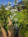 Herrlich - 
