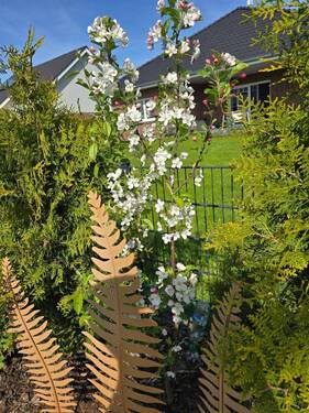 Herrlich - 