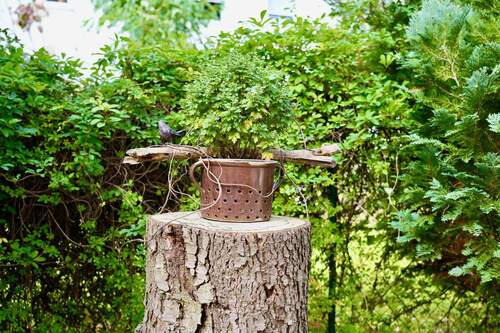 Garten - 