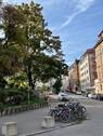 unmittelbare Umgebung - 