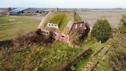 Außenansicht - Am Rande von Nieblum - Sanierungsbedürftiges Reetdachhaus auf großem Grundstück