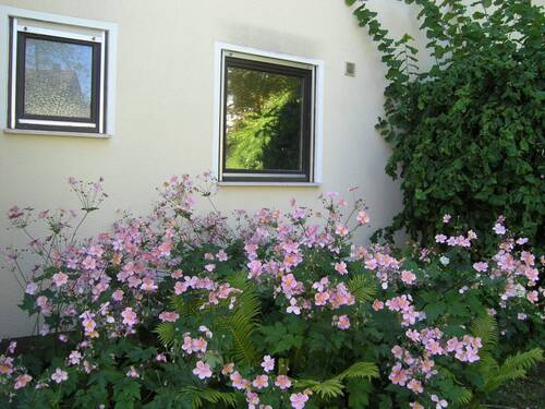 Ansicht Nord-Ost - 