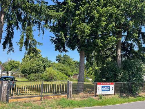 Grundstück - Wunderschönes Baugrundstück in Zeesen