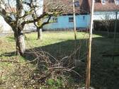 Bild 2 - 