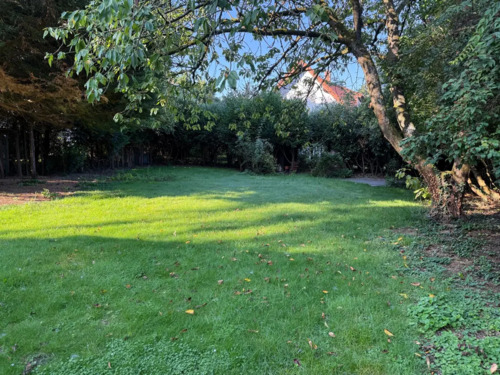 5cadbe1f-e870-4262-8ff6-08591a7dbbd9-1961357367 - 