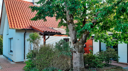 Vorderansicht - 5 Zimmer Einfamilienhaus zum Kaufen in Bielefeld