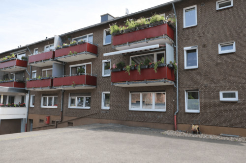 Rückansicht - 