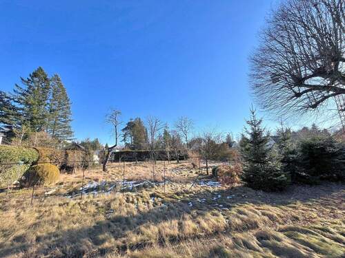 Grundstück Richtung Süd-Ost - Grundstück in Grünwald zum Kaufen