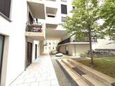 IMG_0851 Large - 