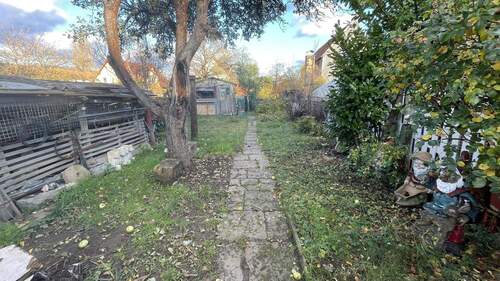 Garten - 3 Zimmer Einfamilienhaus zum Kaufen in Dresden
