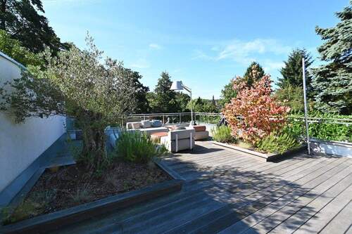 Terrasse - 