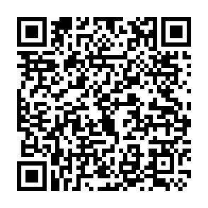 QR-Code - 