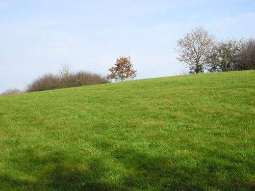 Wiese am Haus - Einfamilienhaus mit 160,00 m&sup2; in Weidenbach zur Miete