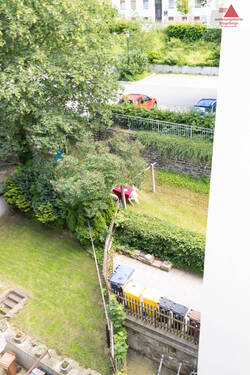 Blick in Garten - 